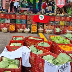 Beatriz Santos Barreto - Families, living in encampments and settlements of the Movimento dos Trabalhadores Rurais Sem Terra, donated 20 tons of produce to collectives that distribute meals in the city."