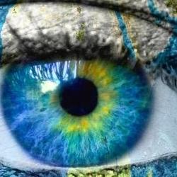 eye on the world image