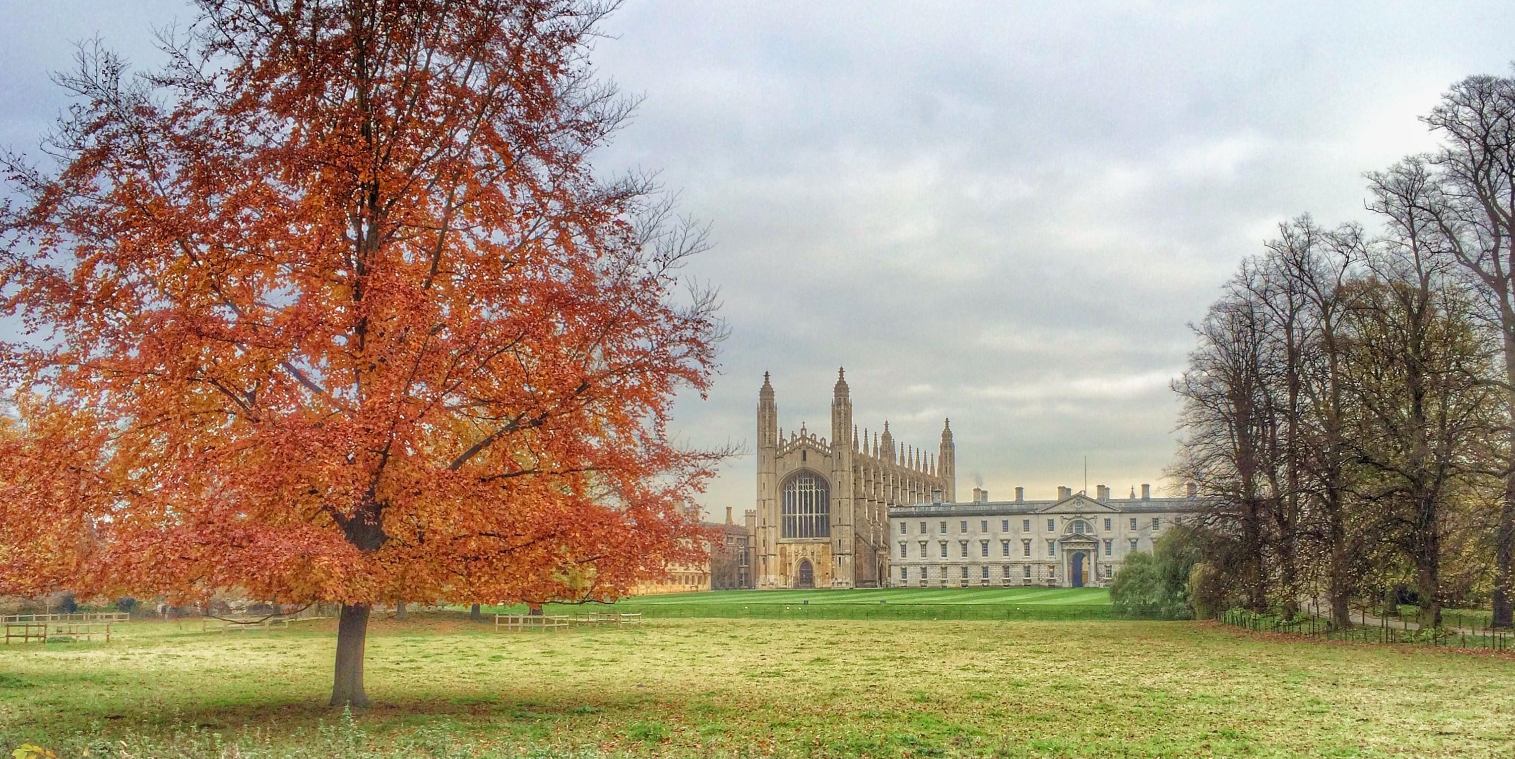 Distant view of King's College with an autumnal tree in the foreground